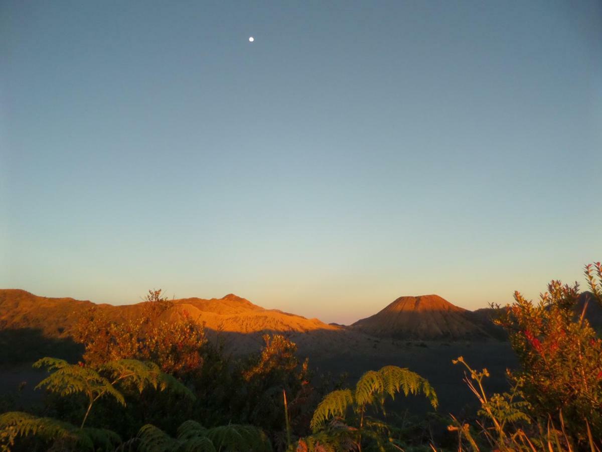 Tengger Indah Homestay Bromo Exteriér fotografie